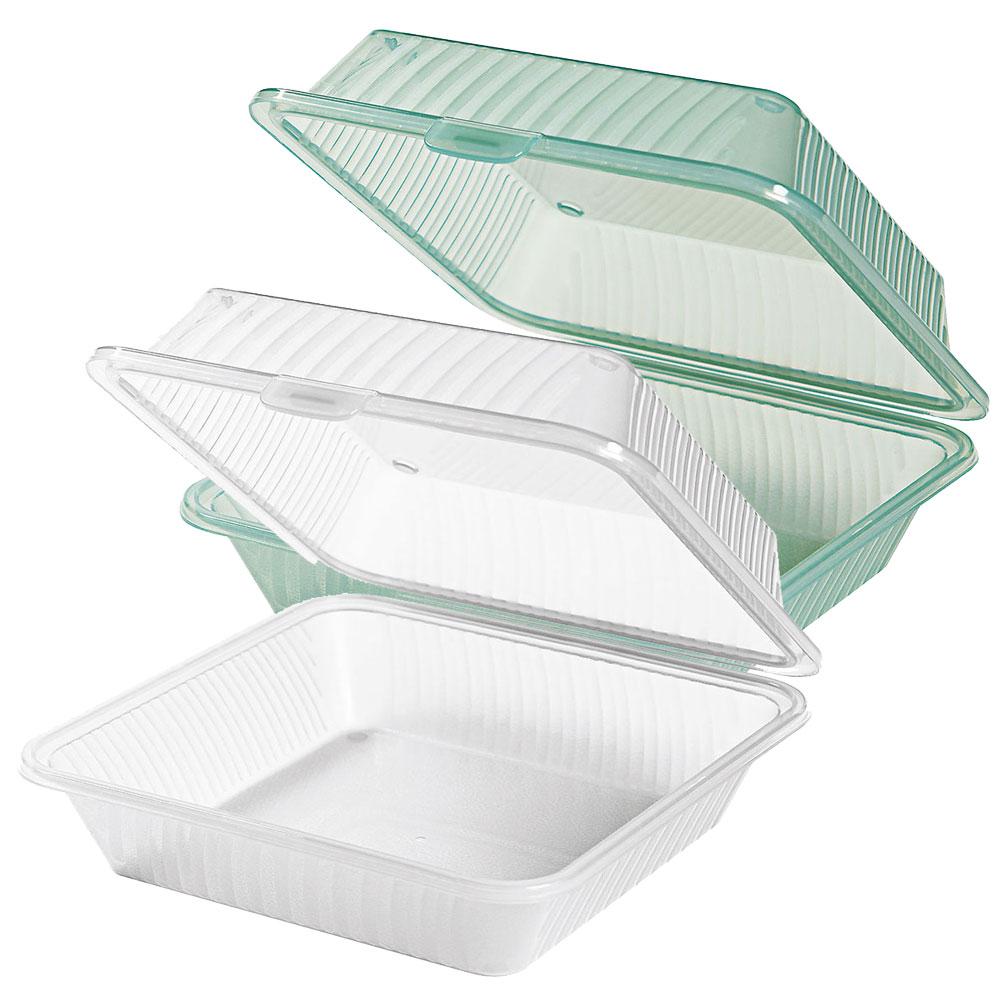 Takeout Box 1 Fach (groß)