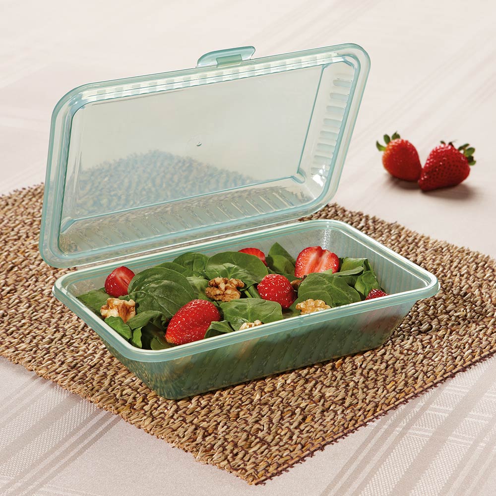 Takeout Box 1 Fach (klein) Beispiel